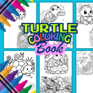 Turtle Coloring Pages Printable PDF Instant Download